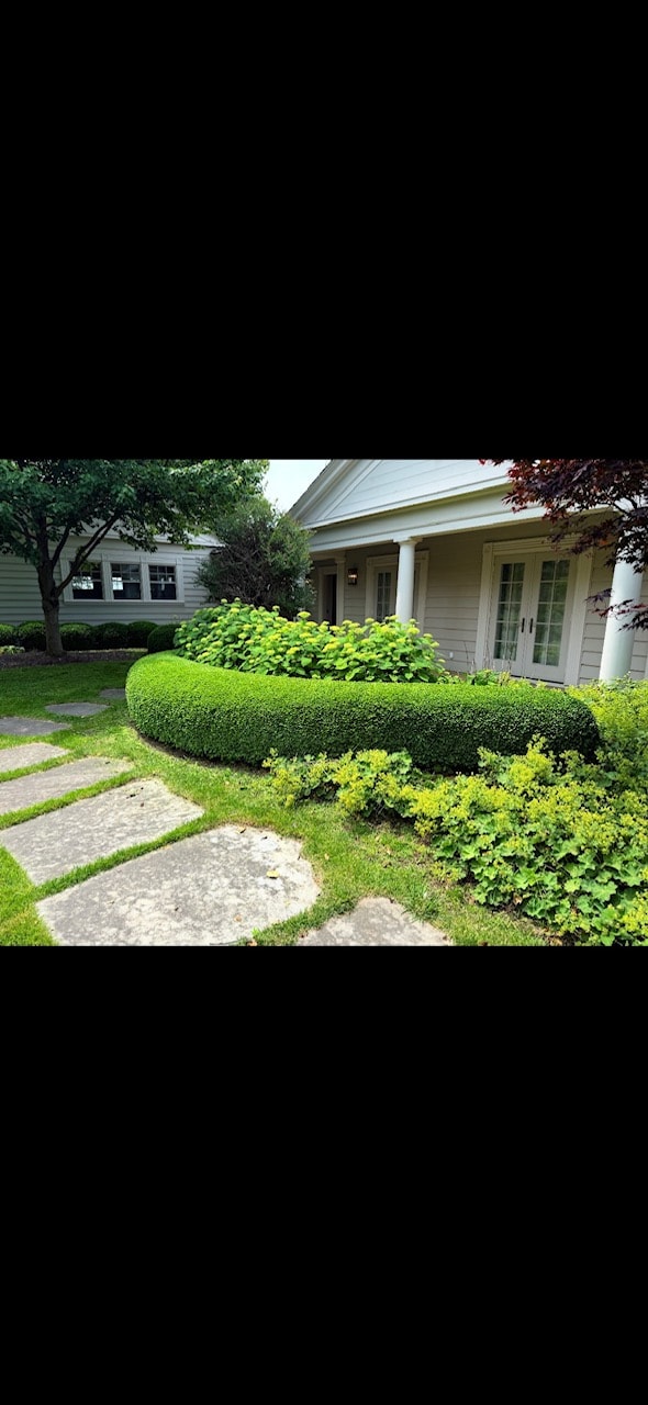 Residential Shrubbery