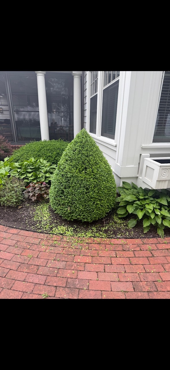Residential Property
