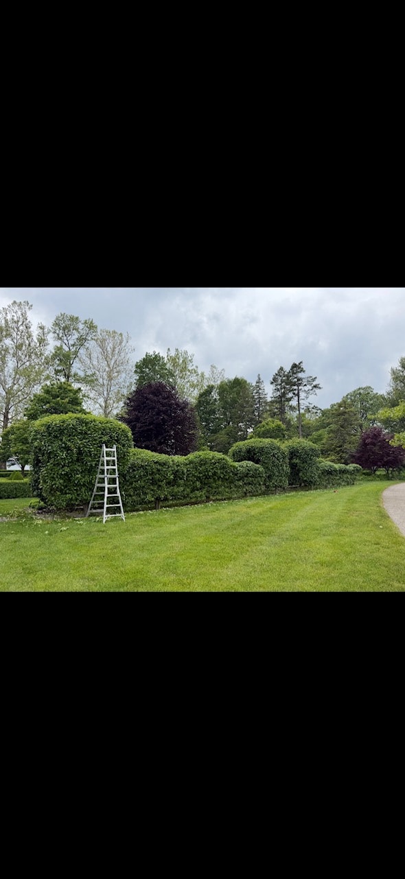 Residential Mowing